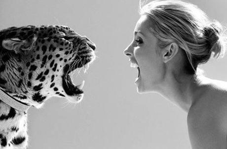 10917384_817368974977373_5280497633384520582_n