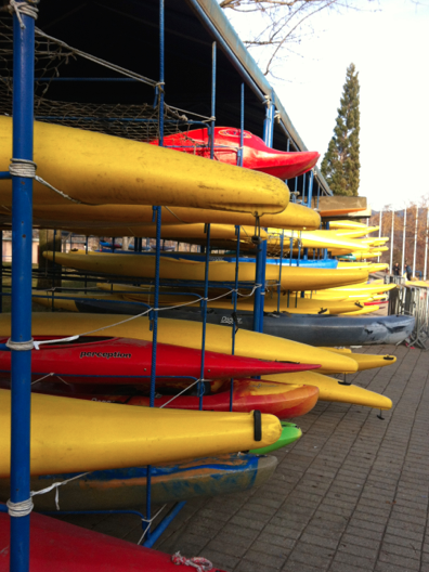 Volviendo a la rutina !