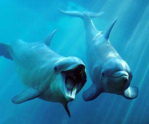 Luna de miel en la Riviera Maya