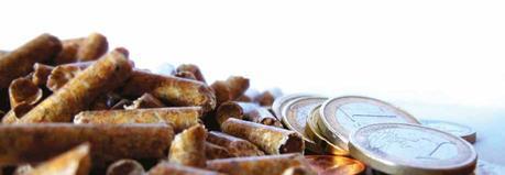 ¿Es buena la subida del precio del pellet? precio_pellet