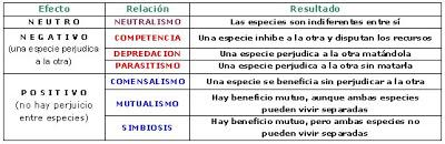 interespecífica intraespecífica relaciones ecosistema biología competencia comensalismo parasitismo depredación simbiosis mutualismo