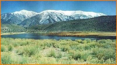 bioma flora fauna bosque llanura argentina biología ecosistema desierto selva patagonia