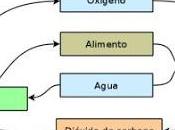 Ecosistemas