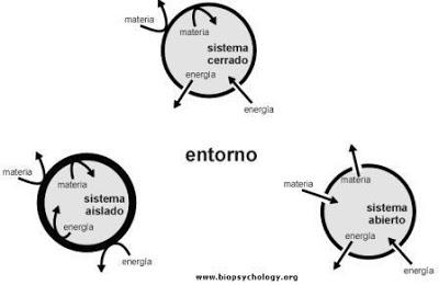 sistema abierto cerrado aislado biología materia energía