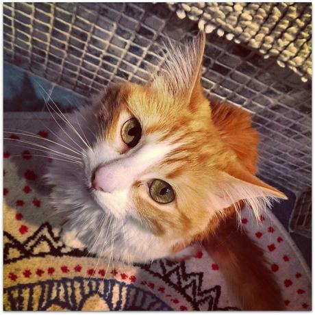 Las pequeñas cosas de la vida