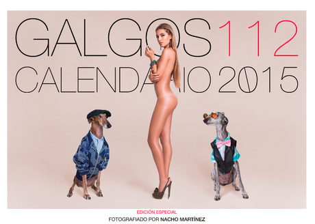 Captura de pantalla 2015 01 13 a las 08.03.03 Galgos 112: Calendario solidario 2015 con un toque de moda