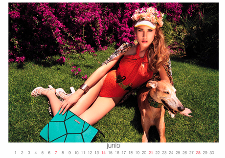 Captura de pantalla 2015 01 13 a las 08.05.26 Galgos 112: Calendario solidario 2015 con un toque de moda
