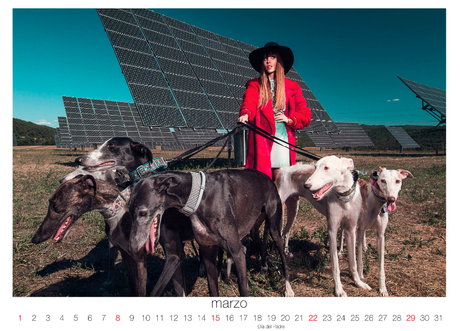 Captura de pantalla 2015 01 13 a las 08.04.44 Galgos 112: Calendario solidario 2015 con un toque de moda