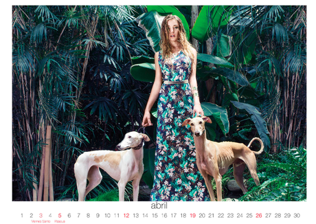 Captura de pantalla 2015 01 13 a las 08.05.11 Galgos 112: Calendario solidario 2015 con un toque de moda