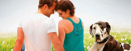 Reseña - Hasta que llegaste