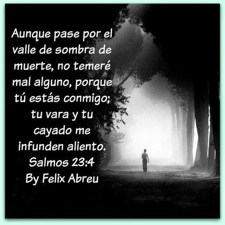 La Verdad Acerca de la Sombra