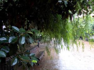 lluvia 009