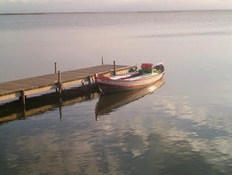 Parque Natural de L'Albufera