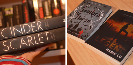 bookhaul: libros acumulados