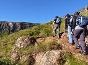 nueva lista nacional