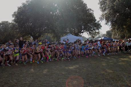 XXX CAMPEONATO DE  MADRID DE  MENORES CAMPO A TRAVÉS