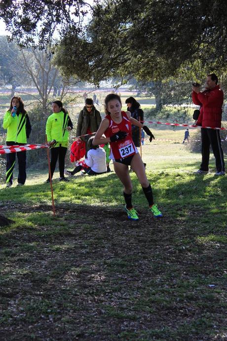 XXX CAMPEONATO DE  MADRID DE  MENORES CAMPO A TRAVÉS