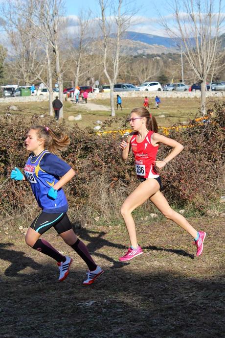 XXX CAMPEONATO DE  MADRID DE  MENORES CAMPO A TRAVÉS