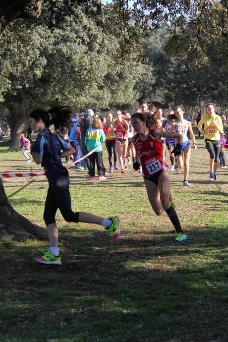 XXX CAMPEONATO DE  MADRID DE  MENORES CAMPO A TRAVÉS