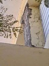 Temblor de tierra daña edificaciones en Las Salinas.