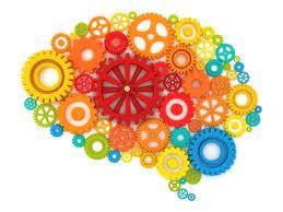 Siete Tips para Optimizar Nuestro Cerebro, por Estanislao Bachrach