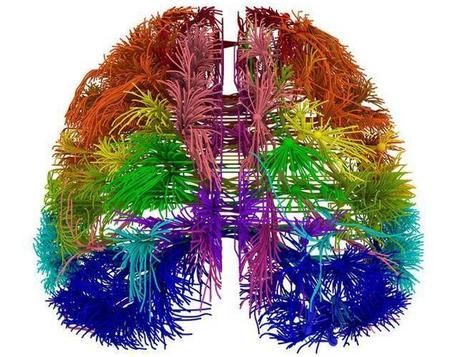 Siete Tips para Optimizar Nuestro Cerebro, por Estanislao Bachrach