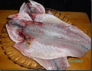 lubina a la espalda1 copia