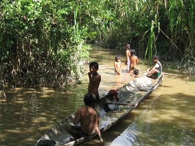 BOLIVIA: TIPNIS -  EL ECOSISTEMA Y EL DESARROLLO SOSTENIBLE
