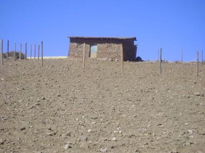 BOLIVIA:VIDA EN EL CAMPO