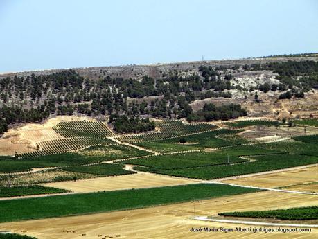 Por Tierras de Burgos (y 5): Bodegas de Ribera