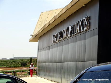 Por Tierras de Burgos (y 5): Bodegas de Ribera