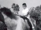 caballo belleza desnudo, nació desnudo. la...