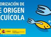 Eres comes finalista Fish Blogs