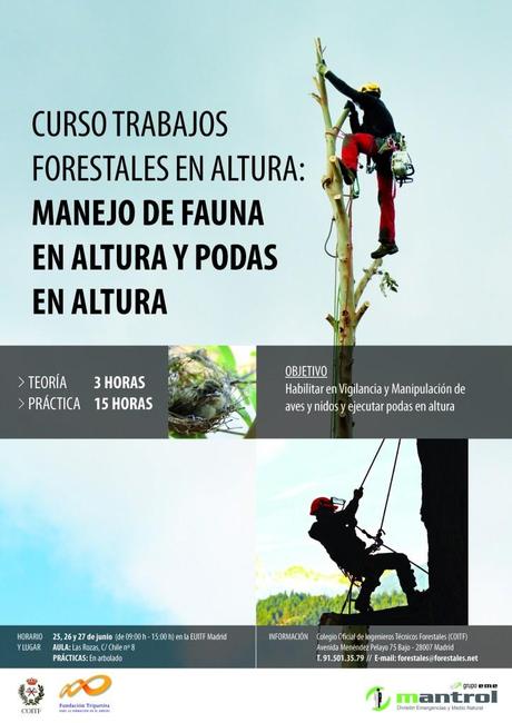 REDFORESTA ha escrito una nueva entrada, CURSO PRESENCIAL: TRABAJOS FORESTALES EN ALTURA: MANEJO DE FAUNA EN ALTURA Y PODAS EN ALTURA (18 HORAS)-MADRID, en el sitio REDFORESTA