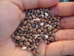 RITUAL, TRADICION, SUPERSTICION…ASI RECIBIMOS EL AÑO EN CASA!!!!