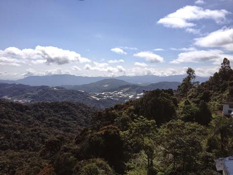 Un día en Cameron Highlands