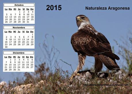 Calendario 2015 - Cuarto trimestre