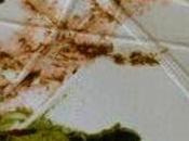 Daniela Mastrandrea Grabados.