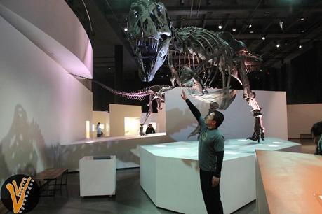 Exhibición de paleontología