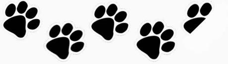 [Reseña] Eleanor y Park -Rainbow Rowell