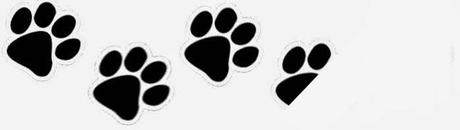 [Reseña] Lo que perdí entre las nubes - Empar Ferrer