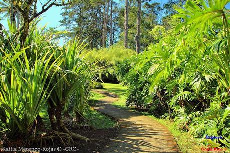 Jardín Botánico Lankester -Universidad de Costa Rica-