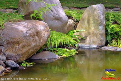 Jardín Botánico Lankester -Universidad de Costa Rica-