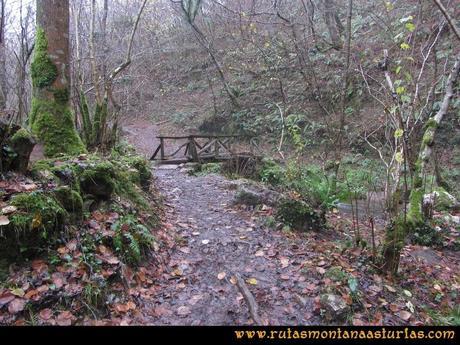 Ruta Xanas, Valdolayés, Peña Rey: Puente sobre el río