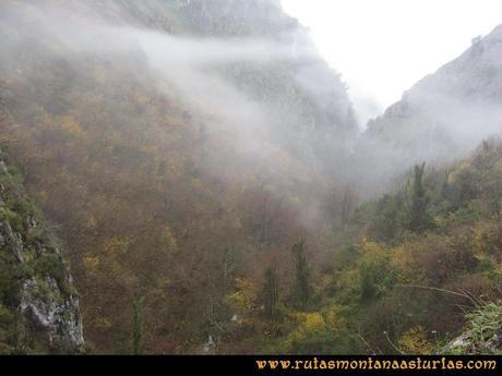 Ruta Xanas, Valdolayés, Peña Rey: Bosque otoñal