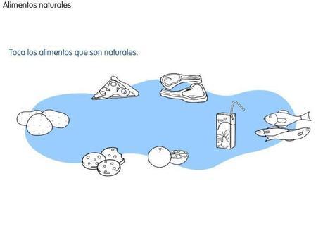 grupo de alimentos 2do grado