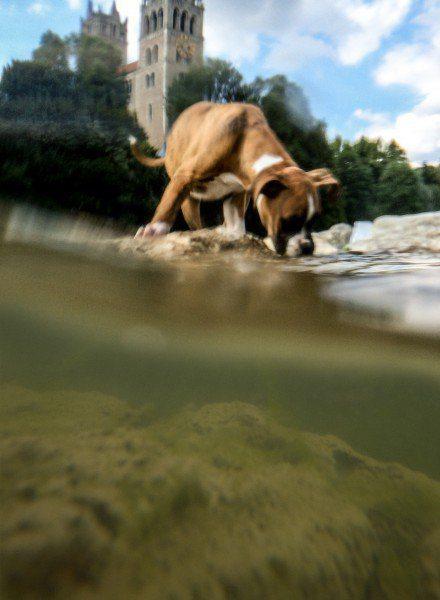 fotografia debajo del agua con smartphone