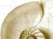 Lecturas para aprender matemáticas
