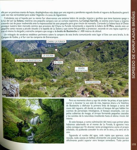 ENTRE OSOS, BRAÑAS Y PASTORES (LIBRO RECOMENDADO)