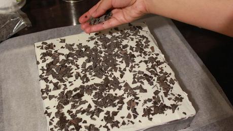 Tarta selva negra;black forest cake